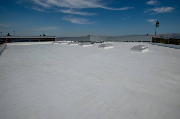 Best Roof Coating Services  in Selma, TX