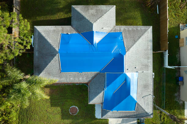Best Roof Maintenance and Cleaning  in Selma, TX