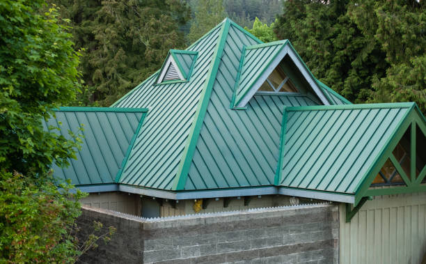 Best Roof Insulation Installation  in Selma, TX